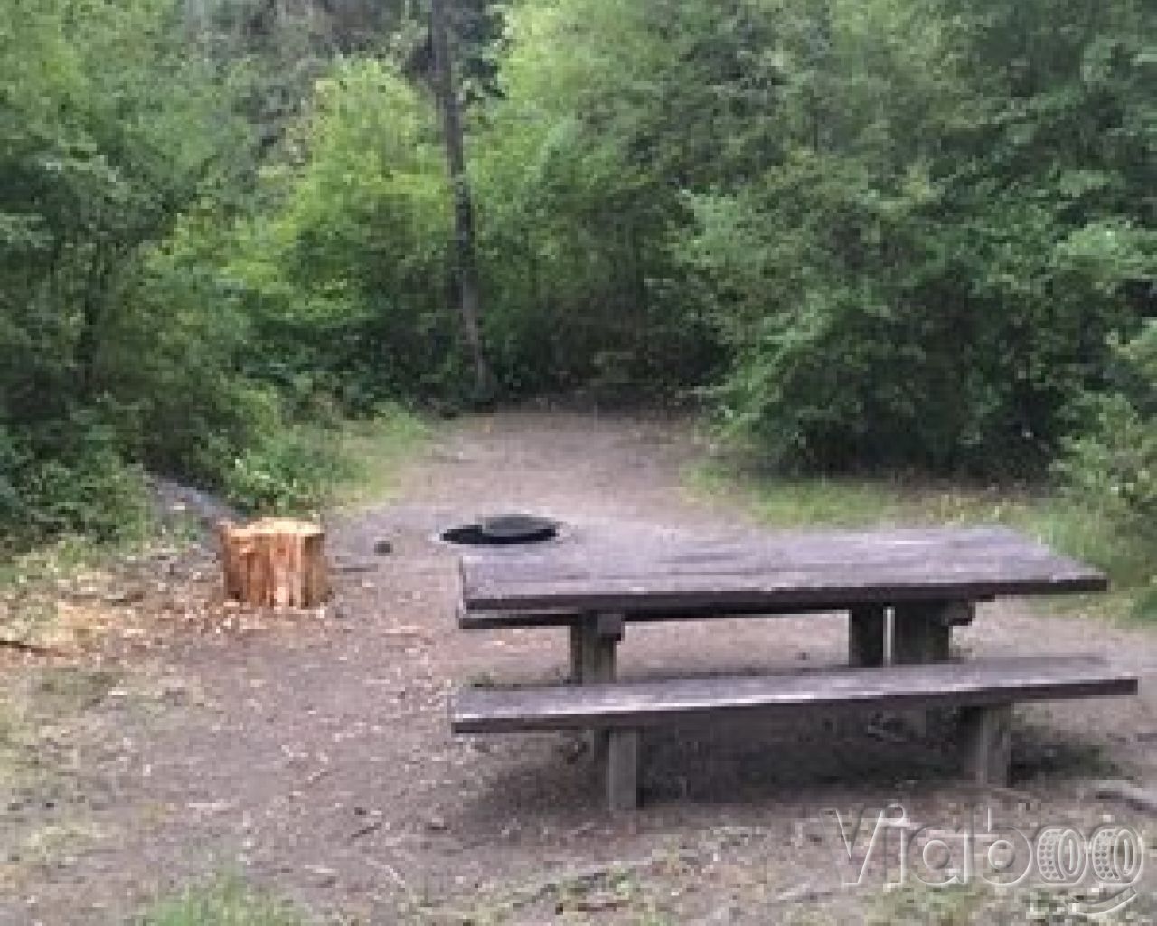 Black Bear Campground