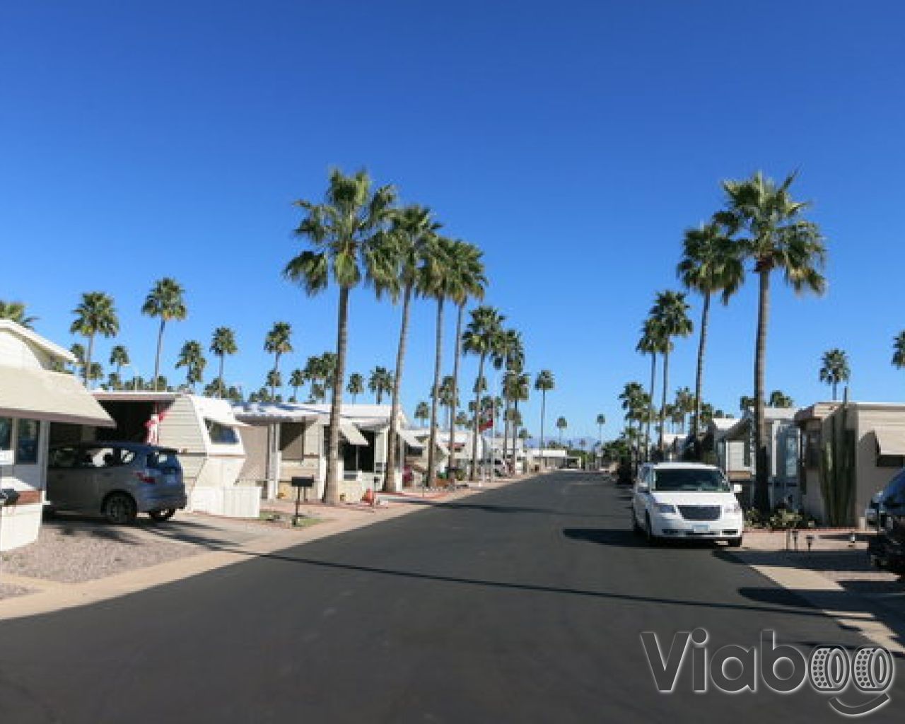 Escape to Paradise: Arizona Palm Gardens RV Park - Your Desert Oasis Awaits