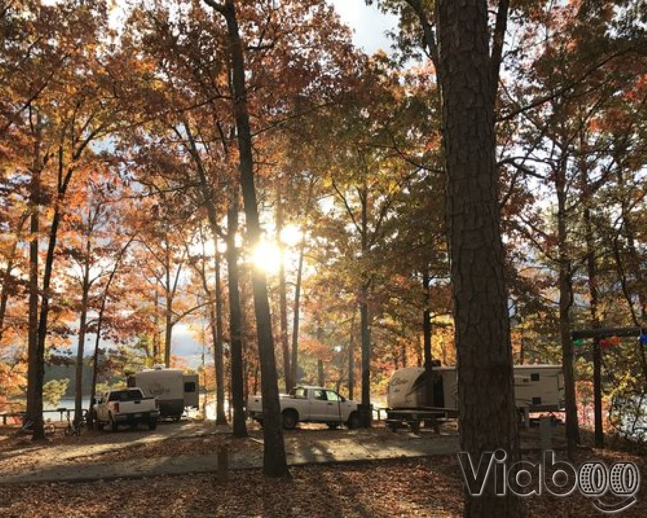 Escape To Serenity: Your Guide To Georgia’s McKinney Campground