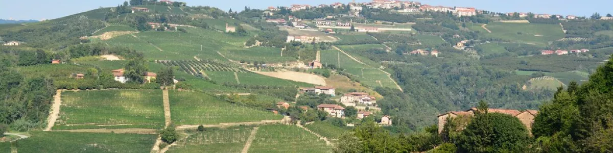 Vineyards around Alba (Italy, Piemonte 2015) | Paul Arps | Flickr