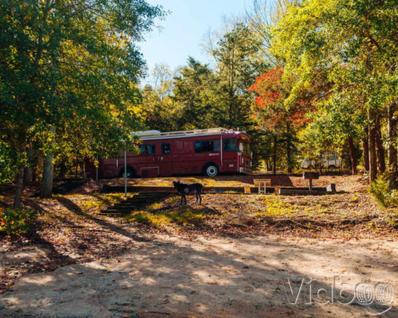 Escape To Tranquility: A Guide To Georgia’s Paynes Creek Campground