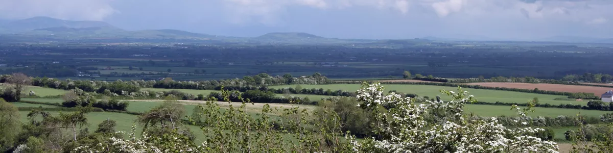 File:Ireland - Plains of South Kildare.jpg - Wikipedia