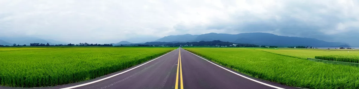 Rice field road