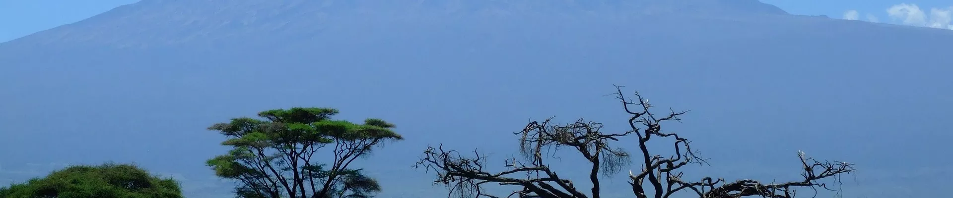 De ongetemde schoonheid van Tanzania`s nationale parken - image