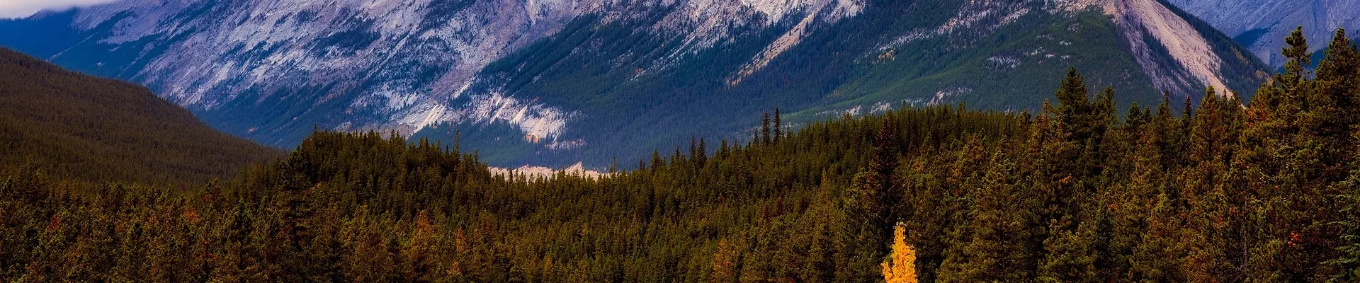 Hoe plan je een Roadtrip Dwars door Canada - image