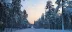 naar-het-noorden-road-trip - road trip