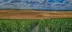 sprankelend-als-champagne-panoramaweg - road trip
