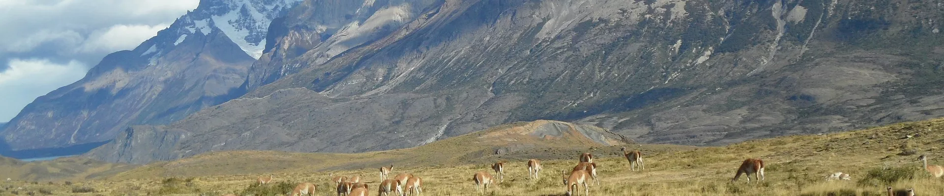 Ultieme Patagonië Roadtrip - image
