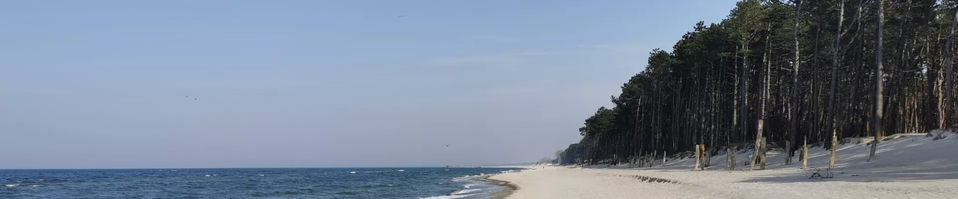 Bałtyk samochodem - atrakcje - image