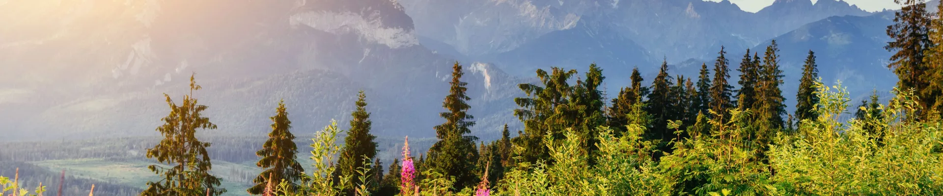 Polskie góry samochodem - atrakcje - image